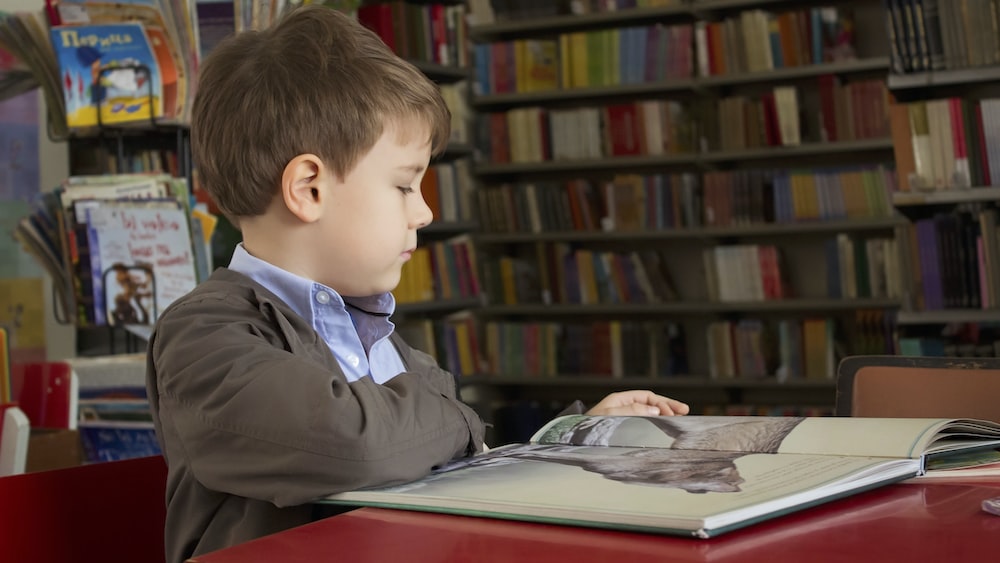 Reading Speed and Language: Boy Reading Near Red Table