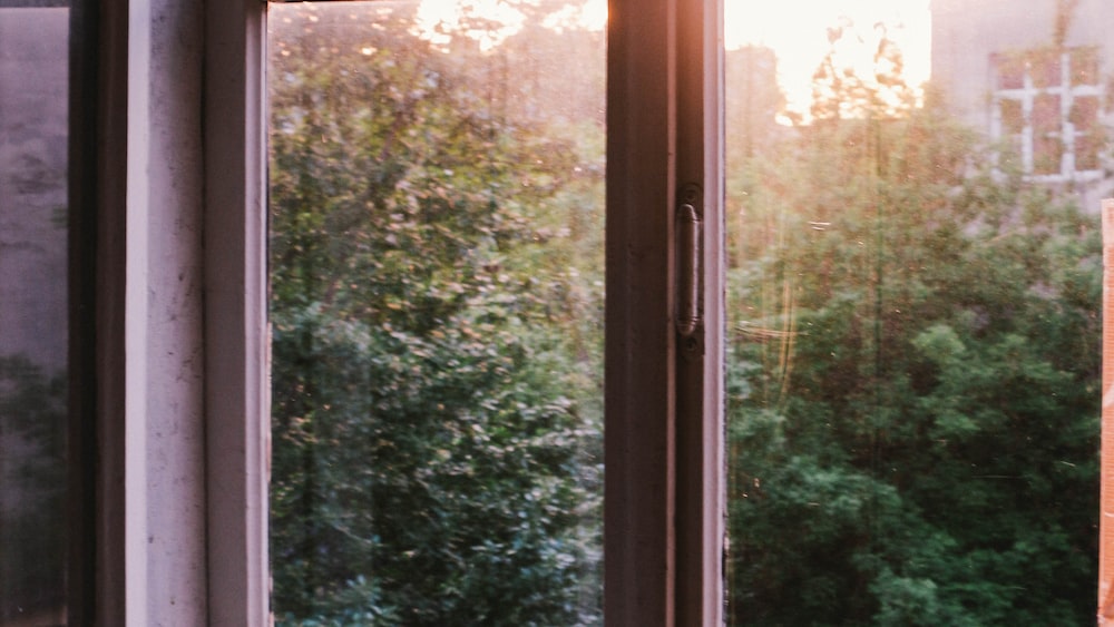 Reading by the Window at Sunset